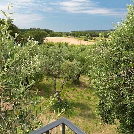 Cottage Zizzolo Riparbella Eksteriør billede